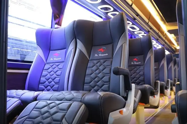 Bus Haryanto Executive 2 garasimod
