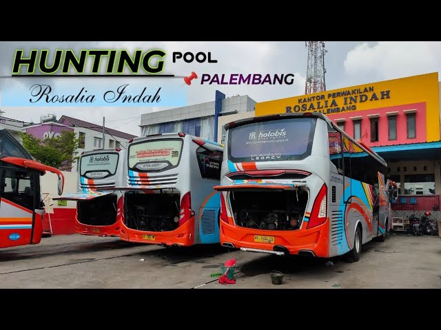 Agen Rosalia Indah di Sumatera