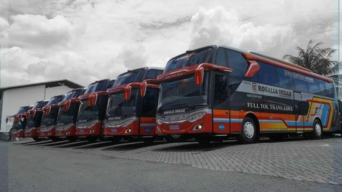 Livery dan Identitas Visual Armada
