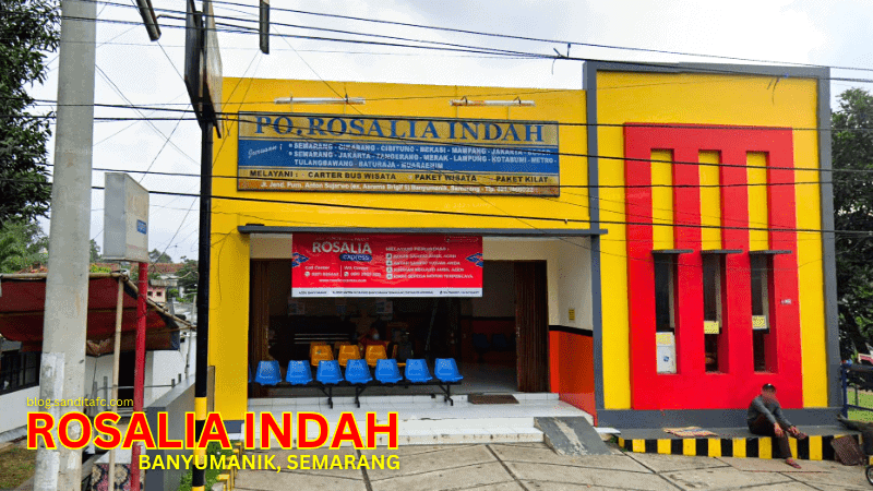 Pool Rosalia Indah Semarang