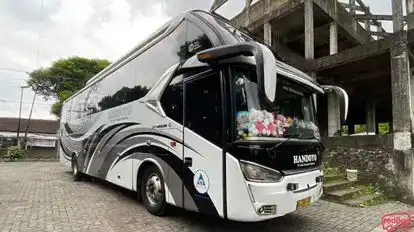 Cibinong, Bogor handoyo