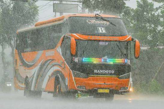 livery bus handoyo (source: photomad.reborn)